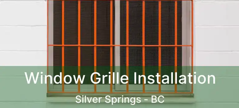  Window Grille Installation Silver Springs - BC