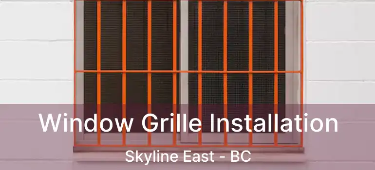  Window Grille Installation Skyline East - BC