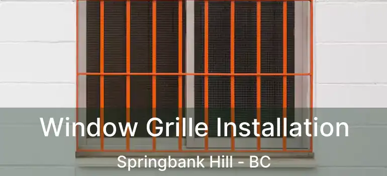  Window Grille Installation Springbank Hill - BC
