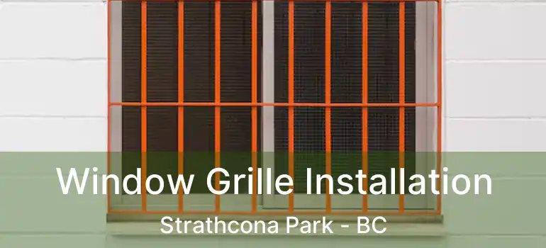  Window Grille Installation Strathcona Park - BC