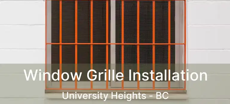  Window Grille Installation University Heights - BC