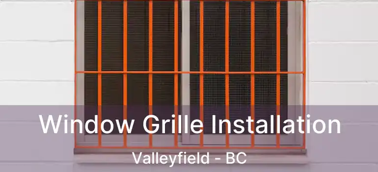  Window Grille Installation Valleyfield - BC
