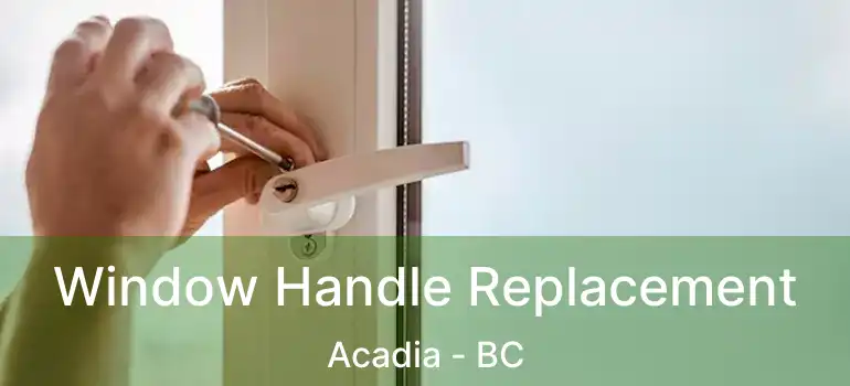  Window Handle Replacement Acadia - BC