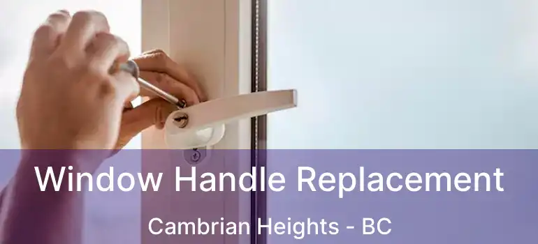  Window Handle Replacement Cambrian Heights - BC