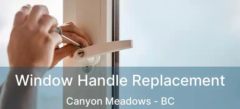  Window Handle Replacement Canyon Meadows - BC
