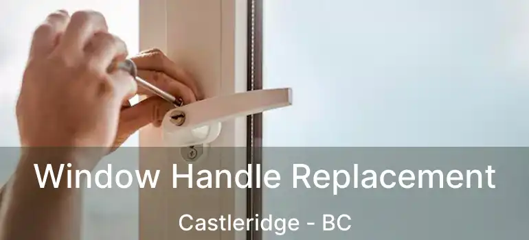  Window Handle Replacement Castleridge - BC