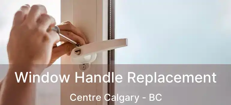  Window Handle Replacement Centre Calgary - BC