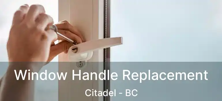  Window Handle Replacement Citadel - BC