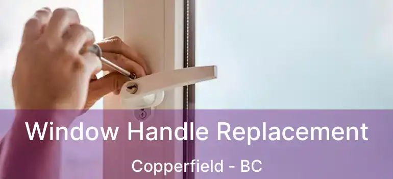  Window Handle Replacement Copperfield - BC