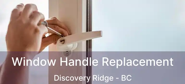  Window Handle Replacement Discovery Ridge - BC