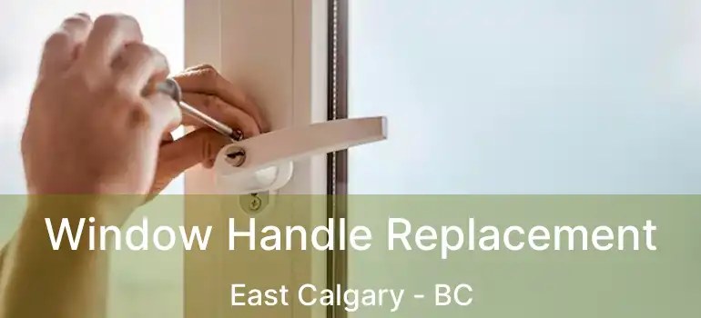  Window Handle Replacement East Calgary - BC