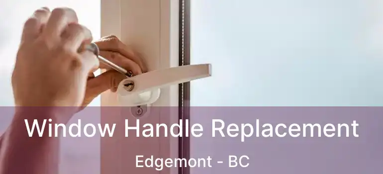 Window Handle Replacement Edgemont - BC