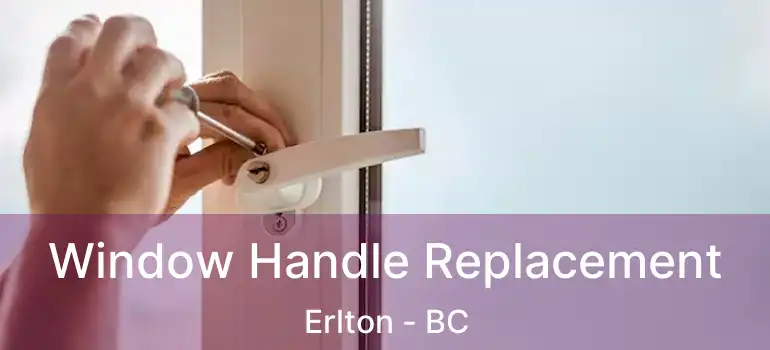  Window Handle Replacement Erlton - BC