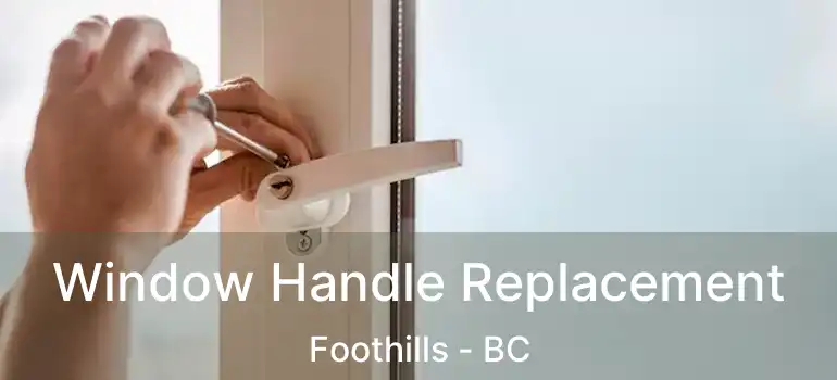  Window Handle Replacement Foothills - BC