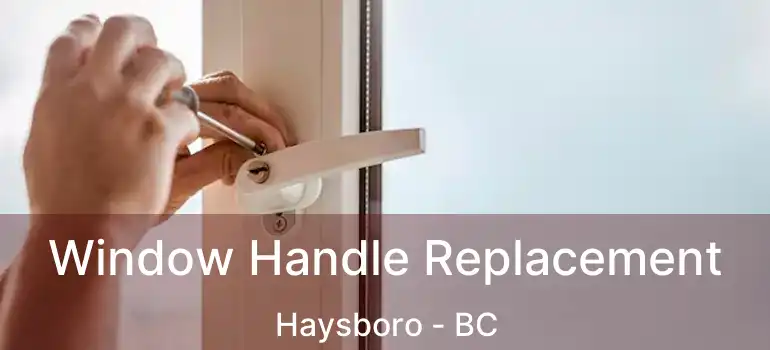  Window Handle Replacement Haysboro - BC