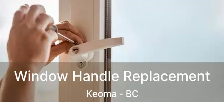  Window Handle Replacement Keoma - BC
