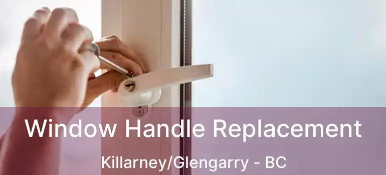  Window Handle Replacement Killarney/Glengarry - BC