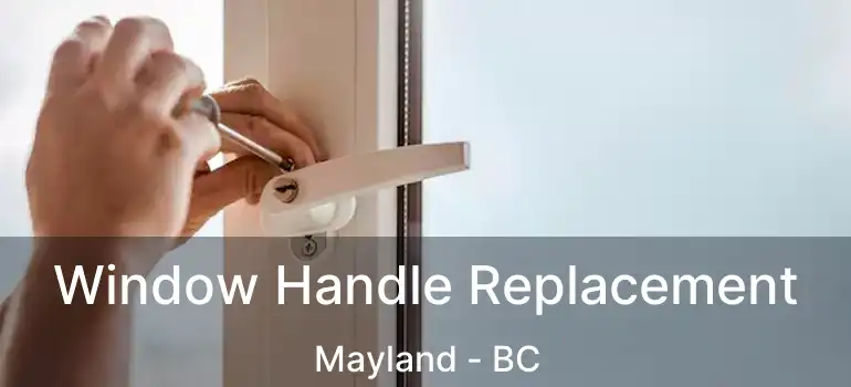  Window Handle Replacement Mayland - BC