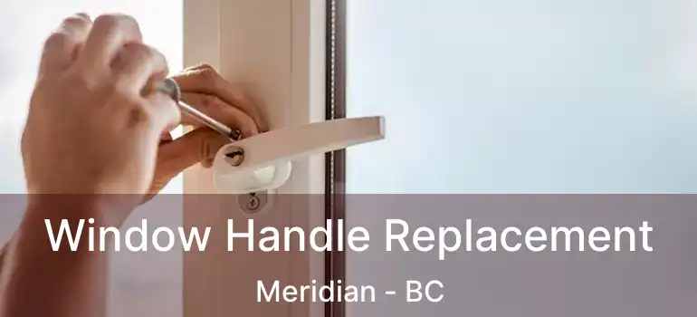  Window Handle Replacement Meridian - BC
