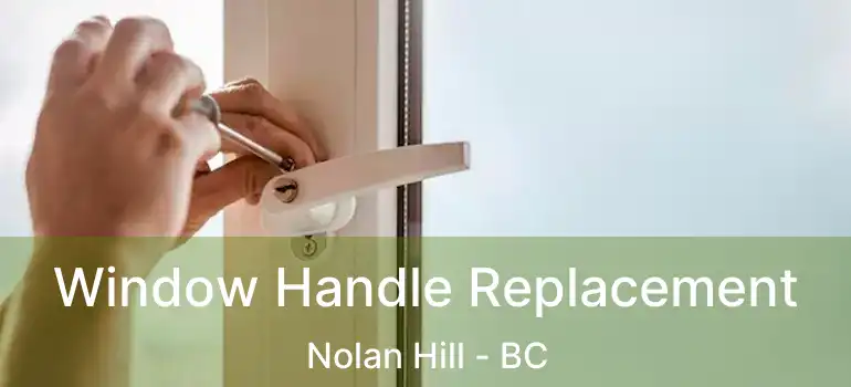  Window Handle Replacement Nolan Hill - BC