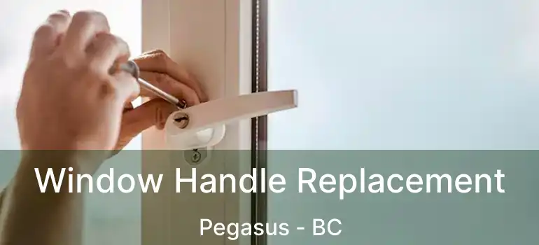  Window Handle Replacement Pegasus - BC