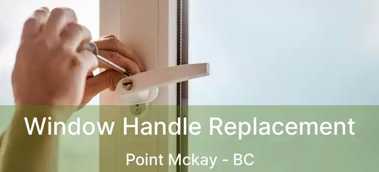  Window Handle Replacement Point Mckay - BC