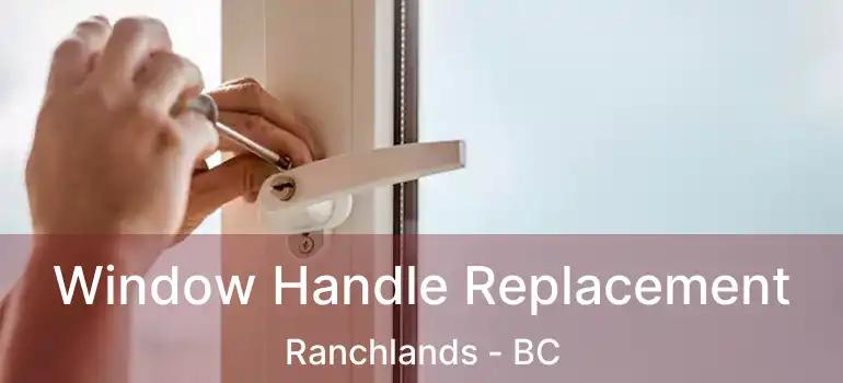  Window Handle Replacement Ranchlands - BC