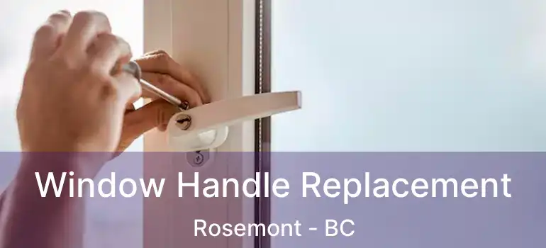  Window Handle Replacement Rosemont - BC