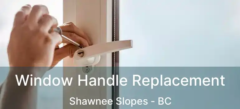  Window Handle Replacement Shawnee Slopes - BC