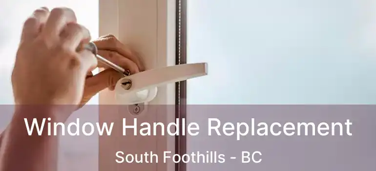  Window Handle Replacement South Foothills - BC