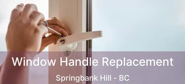  Window Handle Replacement Springbank Hill - BC