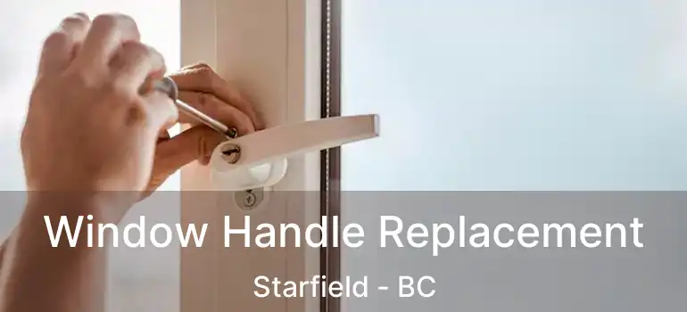  Window Handle Replacement Starfield - BC