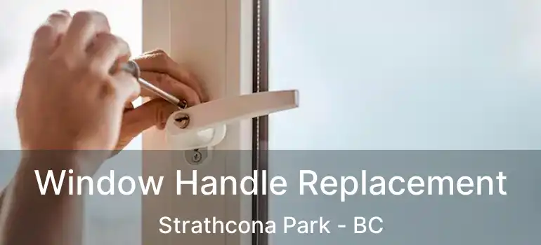  Window Handle Replacement Strathcona Park - BC