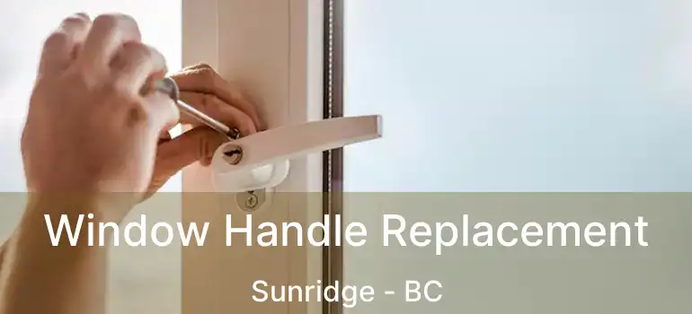  Window Handle Replacement Sunridge - BC