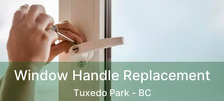  Window Handle Replacement Tuxedo Park - BC