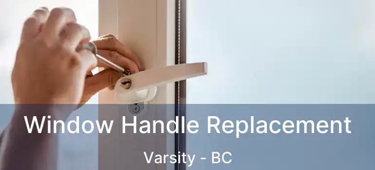  Window Handle Replacement Varsity - BC