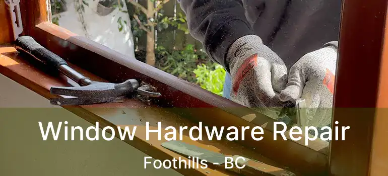  Window Hardware Repair Foothills - BC