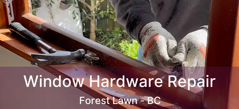 Window Hardware Repair Forest Lawn - BC
