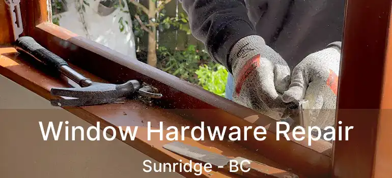  Window Hardware Repair Sunridge - BC