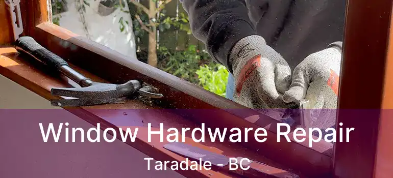  Window Hardware Repair Taradale - BC