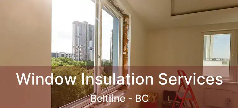  Window Insulation Services Beltline - BC