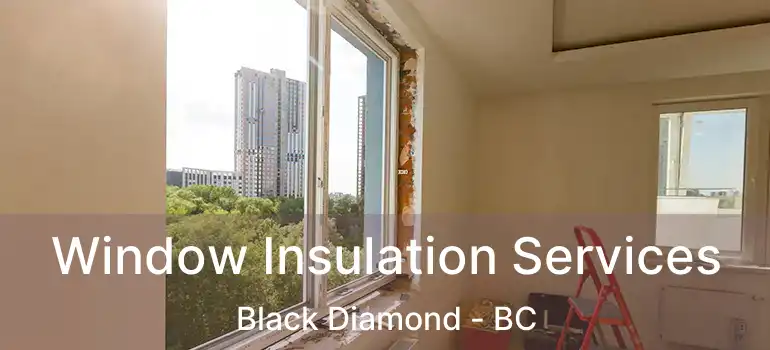  Window Insulation Services Black Diamond - BC