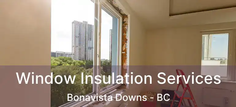  Window Insulation Services Bonavista Downs - BC