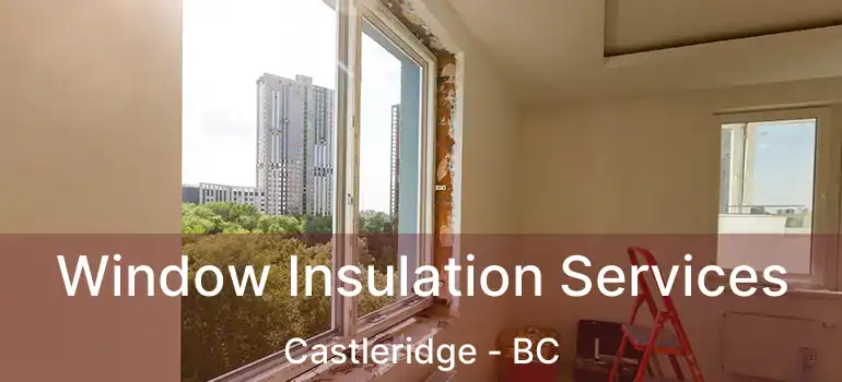  Window Insulation Services Castleridge - BC