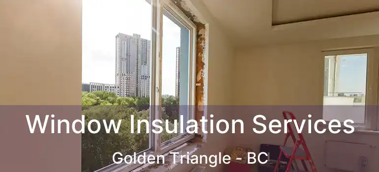  Window Insulation Services Golden Triangle - BC