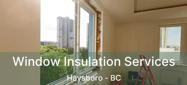  Window Insulation Services Haysboro - BC
