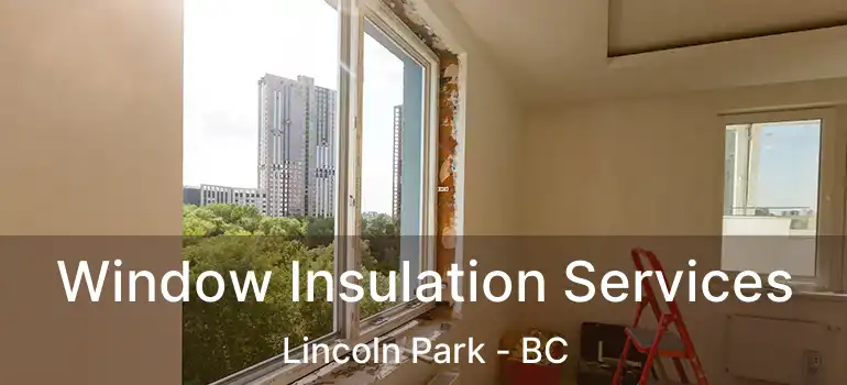  Window Insulation Services Lincoln Park - BC
