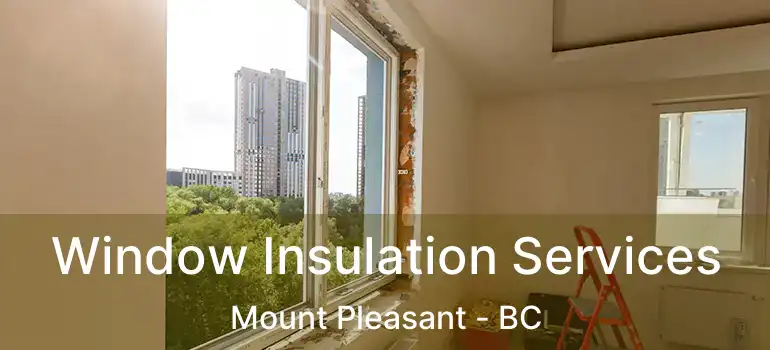  Window Insulation Services Mount Pleasant - BC