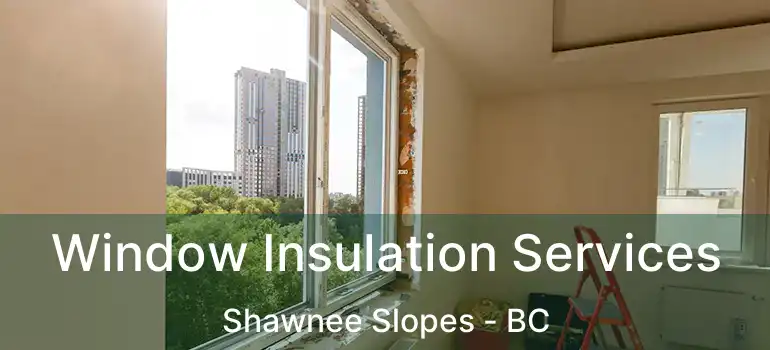  Window Insulation Services Shawnee Slopes - BC