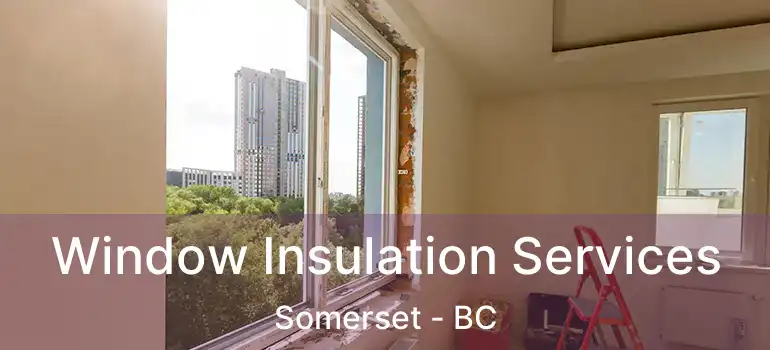  Window Insulation Services Somerset - BC